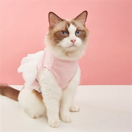 跨境春夏新款猫咪服饰舒适透气围纱蕾丝裙时尚公主宠物衣服