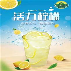冷饮饮品 活力柠檬 欢迎订购 精宇满堂供应